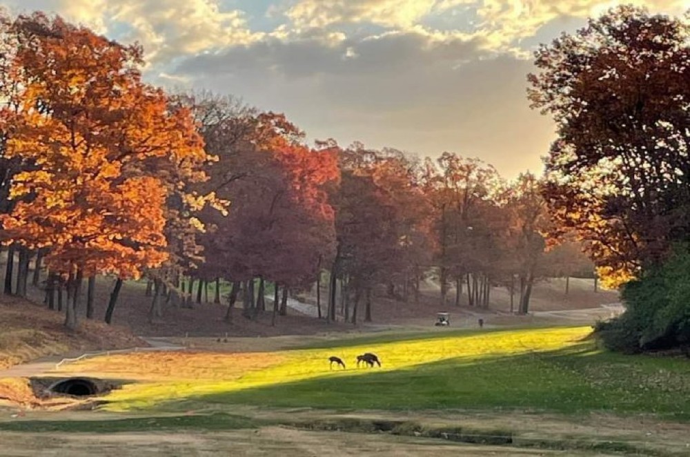 Sugar Creek Golf Course - FINAL