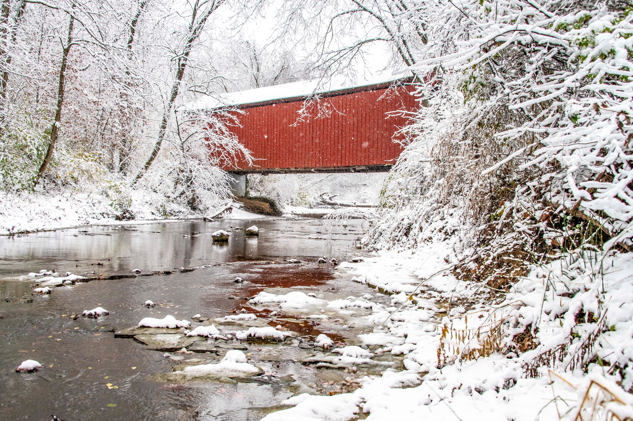 591403207_1161088586004593_2606892419370423825_n