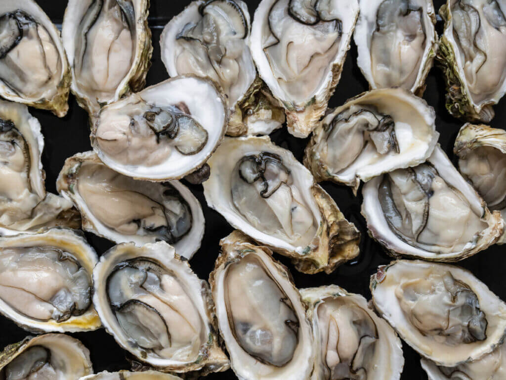 Close-up of open oyster shells with raw oysters inside, arranged on a dark surface.