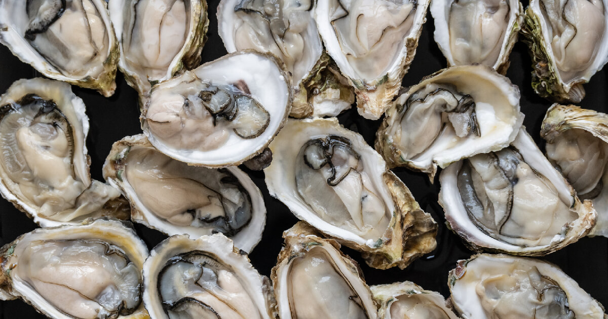 Close-up of open oyster shells with raw oysters inside, arranged on a dark surface.