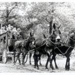 Historical photo of Silver Dollar City