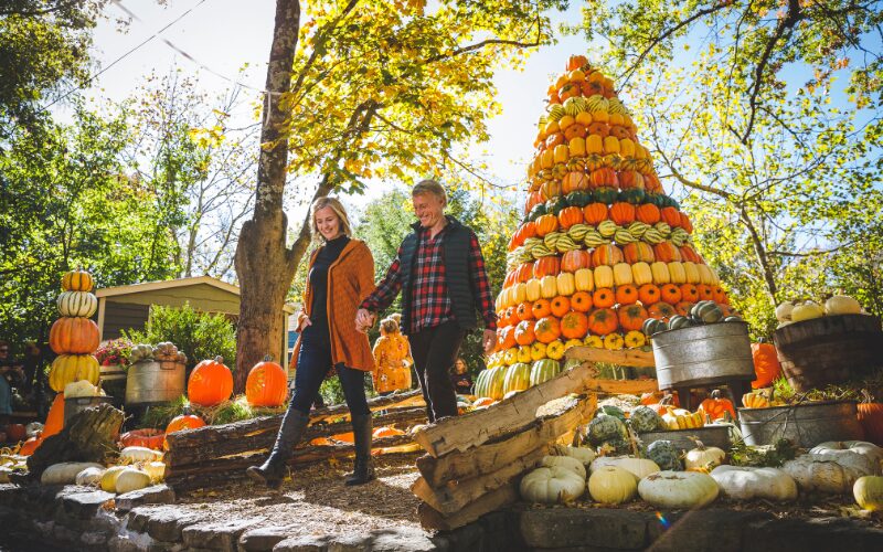 Ozarks Fall Silver Dollar City