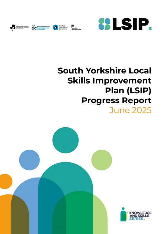 LSIP Annual Report 2025