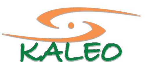 kaleo-logo