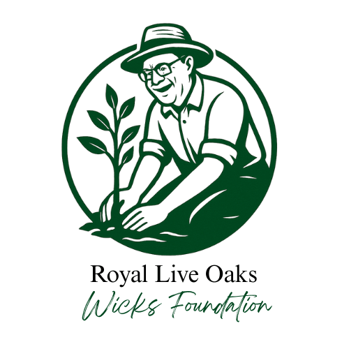 Royal Live Oaks