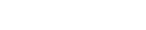 BNP Young Professional