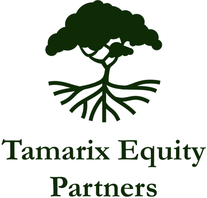 Tamarix Equity Partners (Logo) (1)