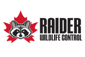 raider logo