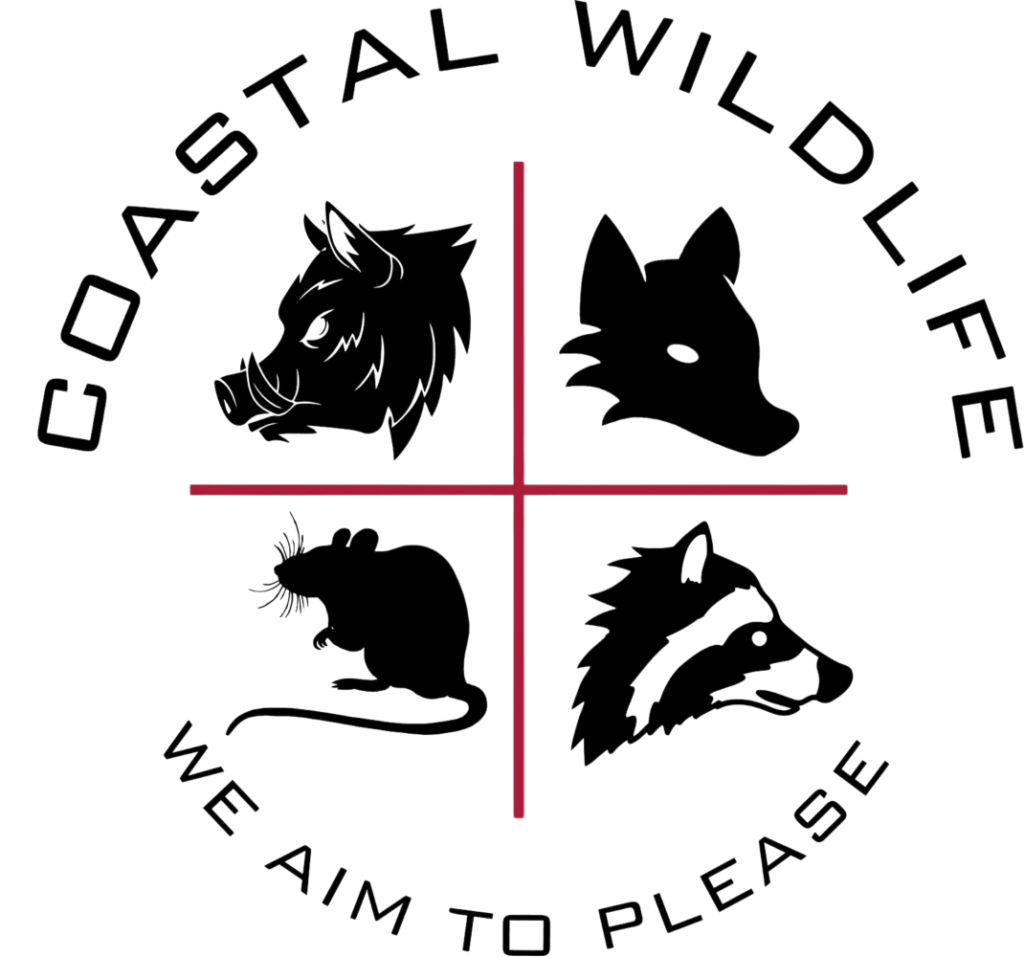 CoastalWildlife_TransparentBkgd (2)