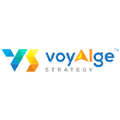 VoyAIge Strategy