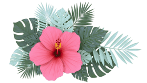 luau flower reduced