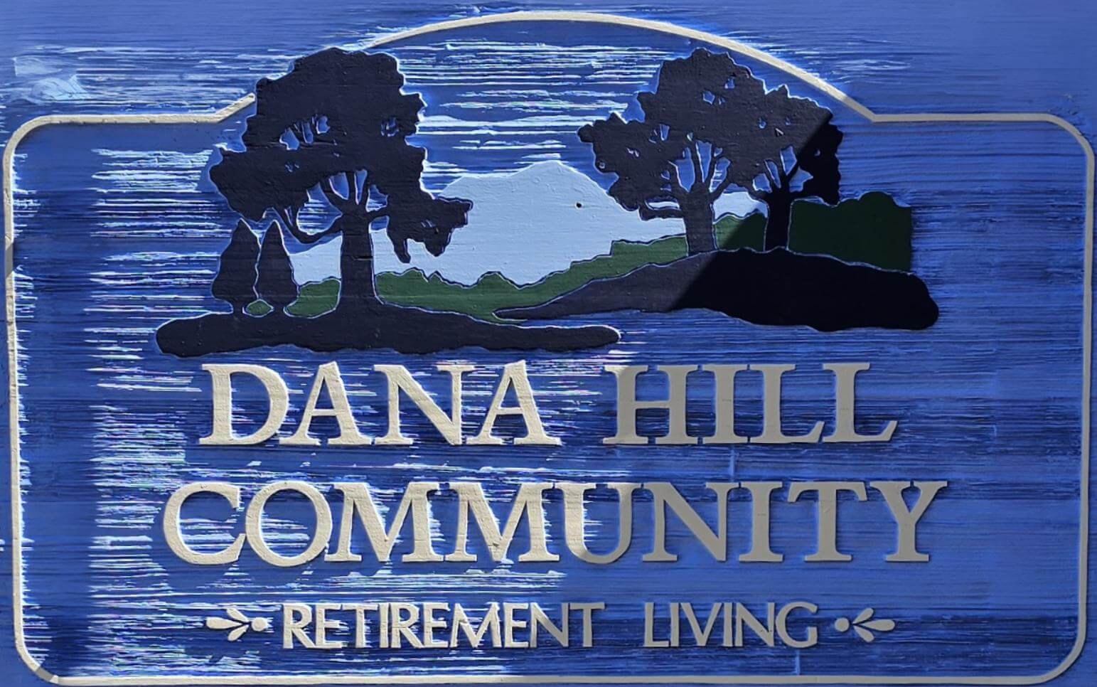 Dana Hill logo 4