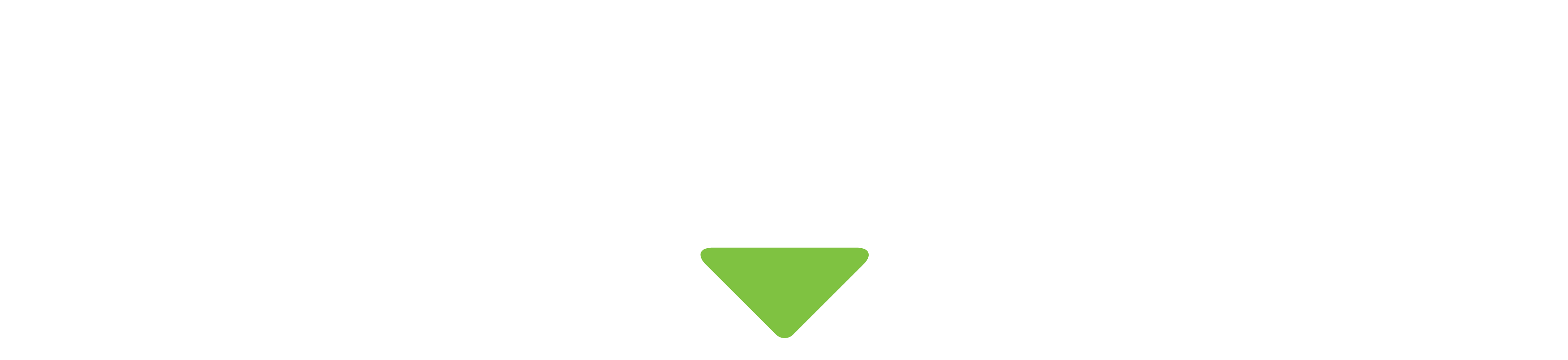 The Greater Birmingham Region's Five-Year Strategic Plan