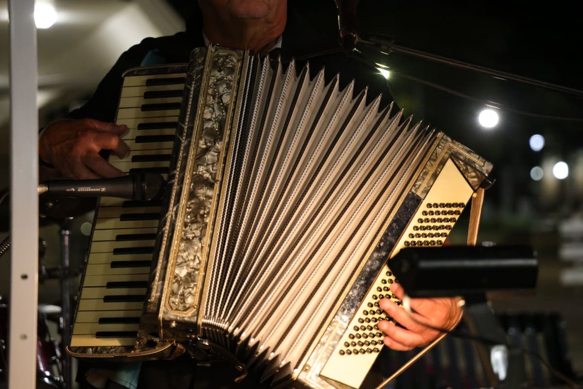A close-up shot of someone playing accordion.