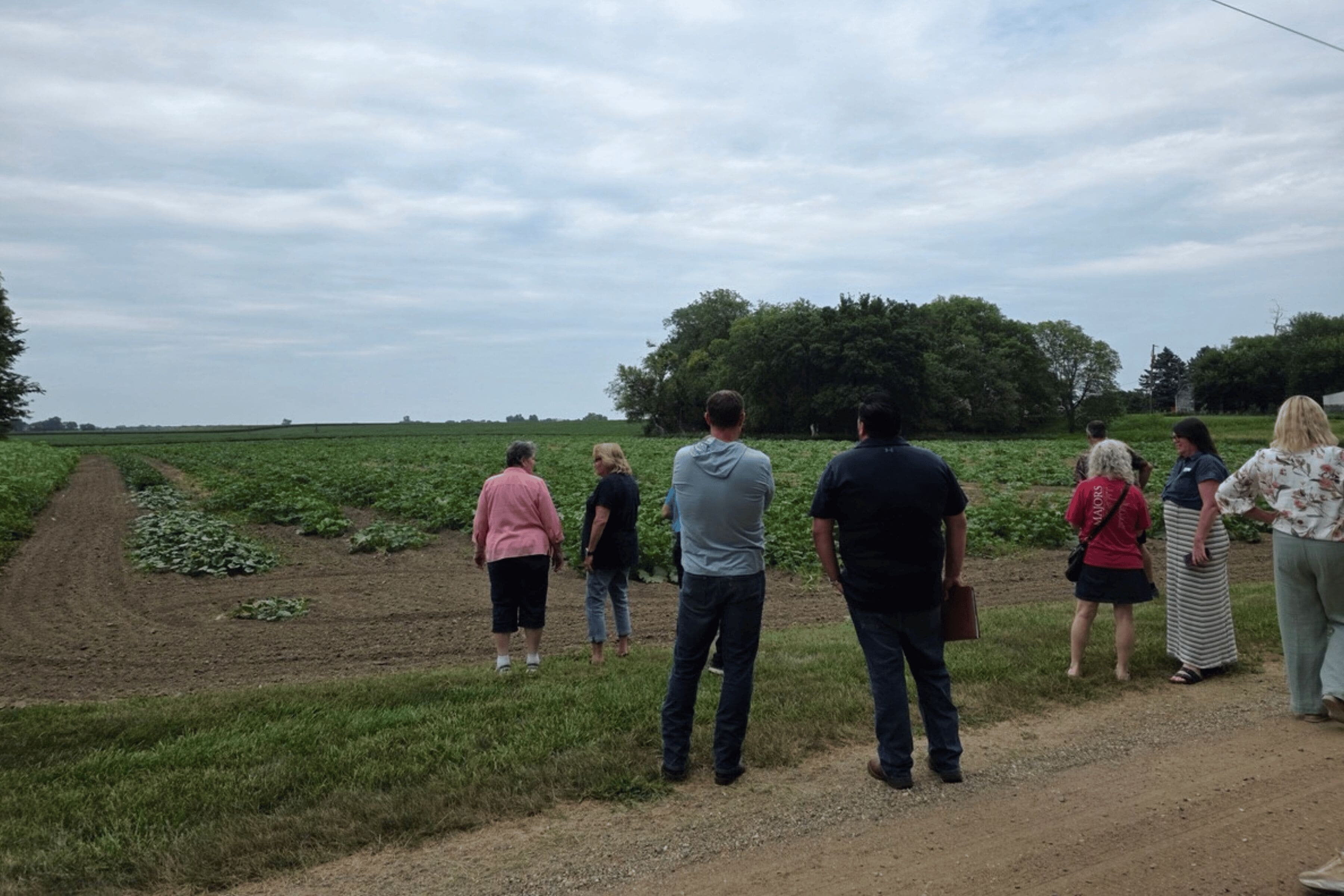 A group of people look out into a field of crops