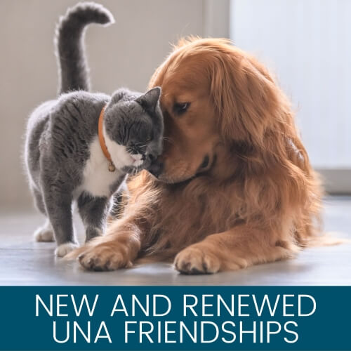 New and Renewed Friendships