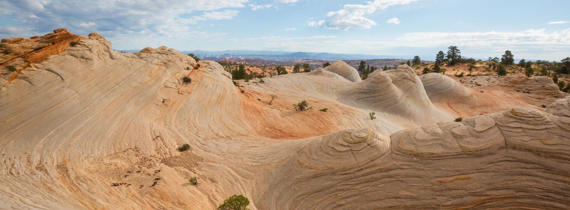 Utah Swirling Sandstone