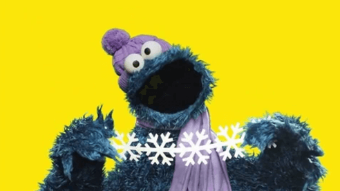 CookieMonsterWinter