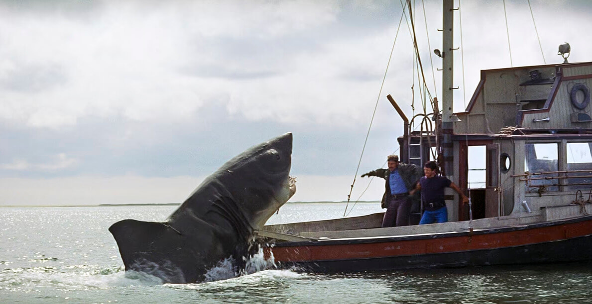 This summer marks the 50th anniversary of the film Jaws.
