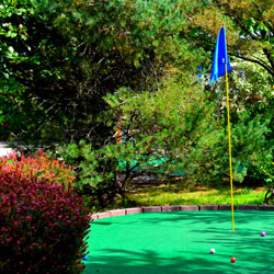 mini golf green with flag