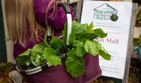 Indoor Farmer's' Market at Wilton Mall