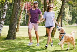 Man and woman walking a golden retriever in a park