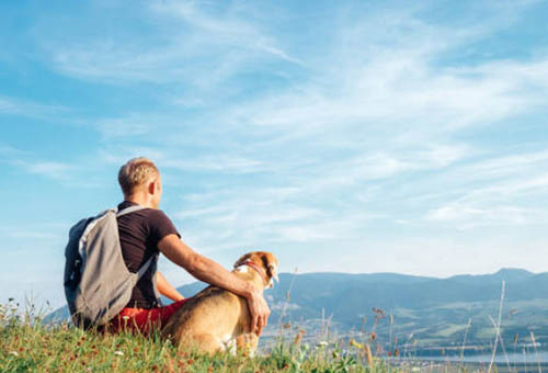 Man and dog sitting on a hill overlooking mountains and a lake