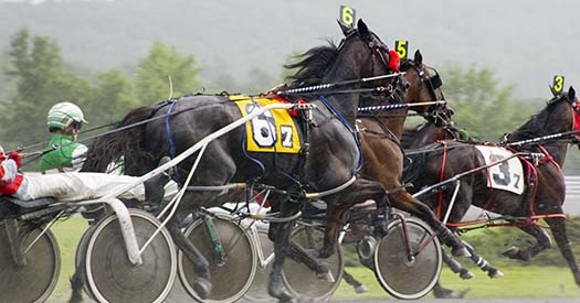 harness track horse race