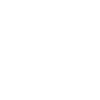 Shopping Bags icon