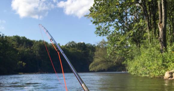 fishing pole at lakeside