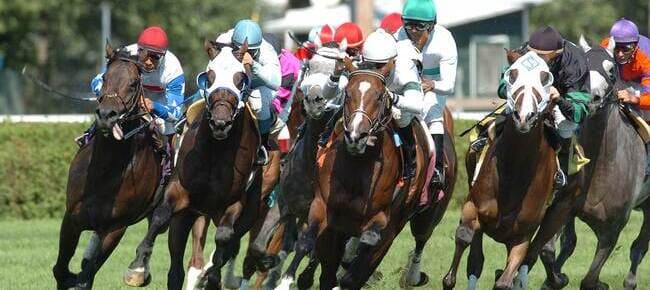 horses running on race track