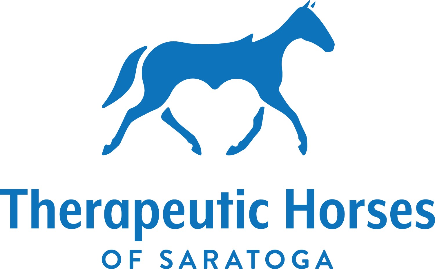 https://growthzonecmsprodeastus.azureedge.net/sites/2044/2021/11/TherapeuticHorsesofSaratoga-6d282042-0b52-435c-a749-c39182cd9cf6.jpg