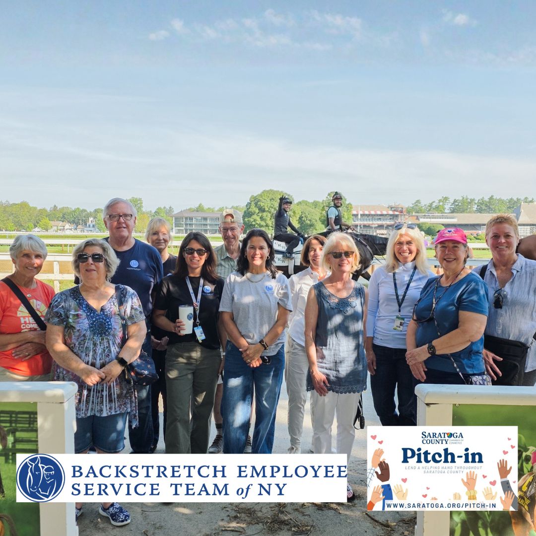 Pitch-In Orgs - BEST 2026