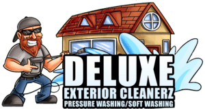 Deluxe Exterior Cleanerz