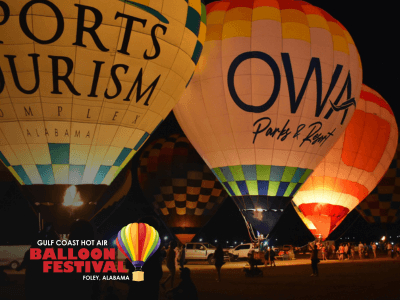 BF homepage graphic (1)