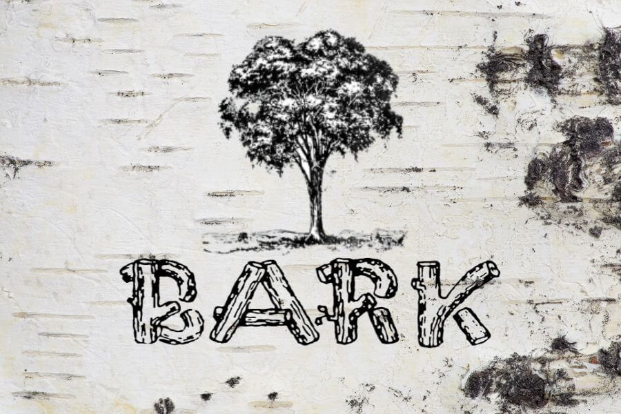 BARK Newsletter