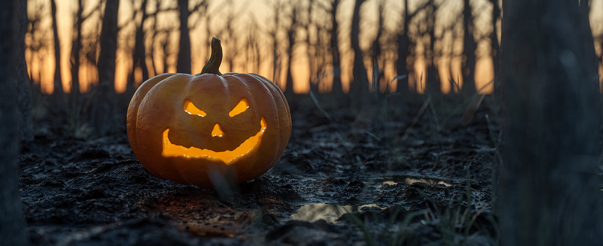 carved pumpkin outside