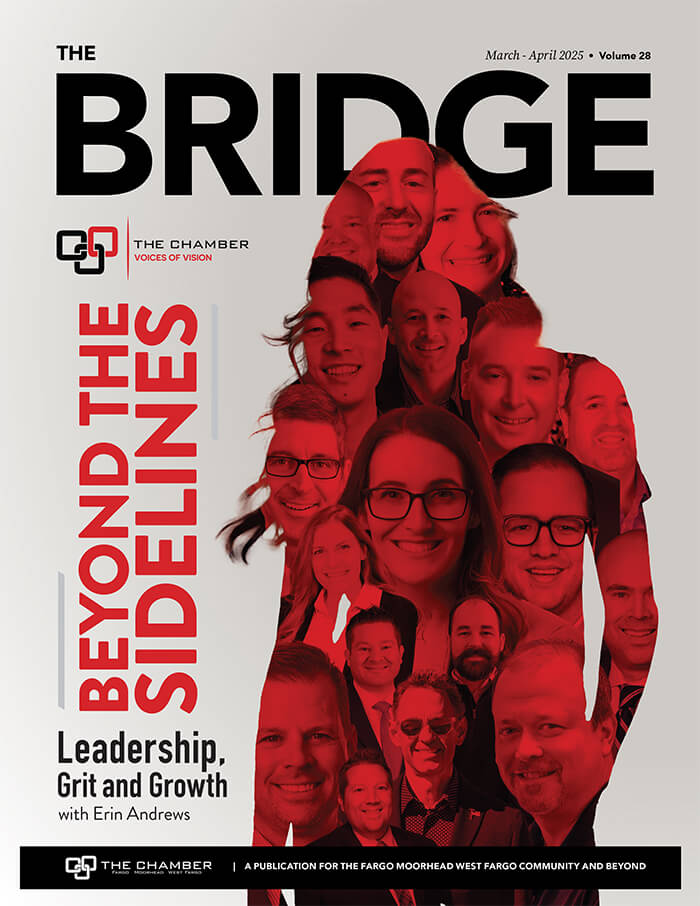 The Bridge Cover