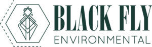 BFE-Logo-Green@2x@2x
