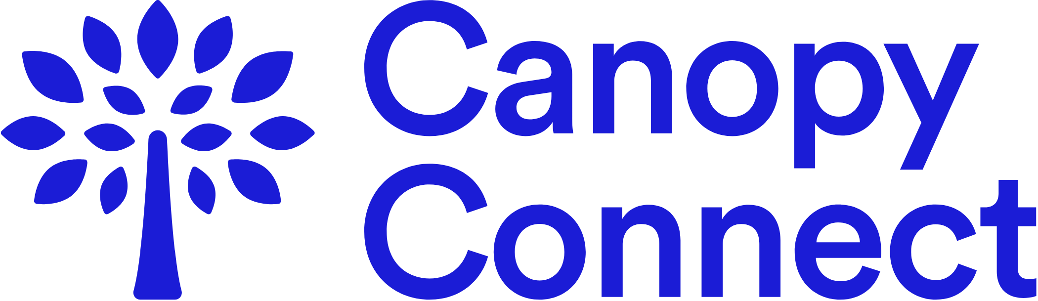 IIAG Partner in Progress Canopy Connect