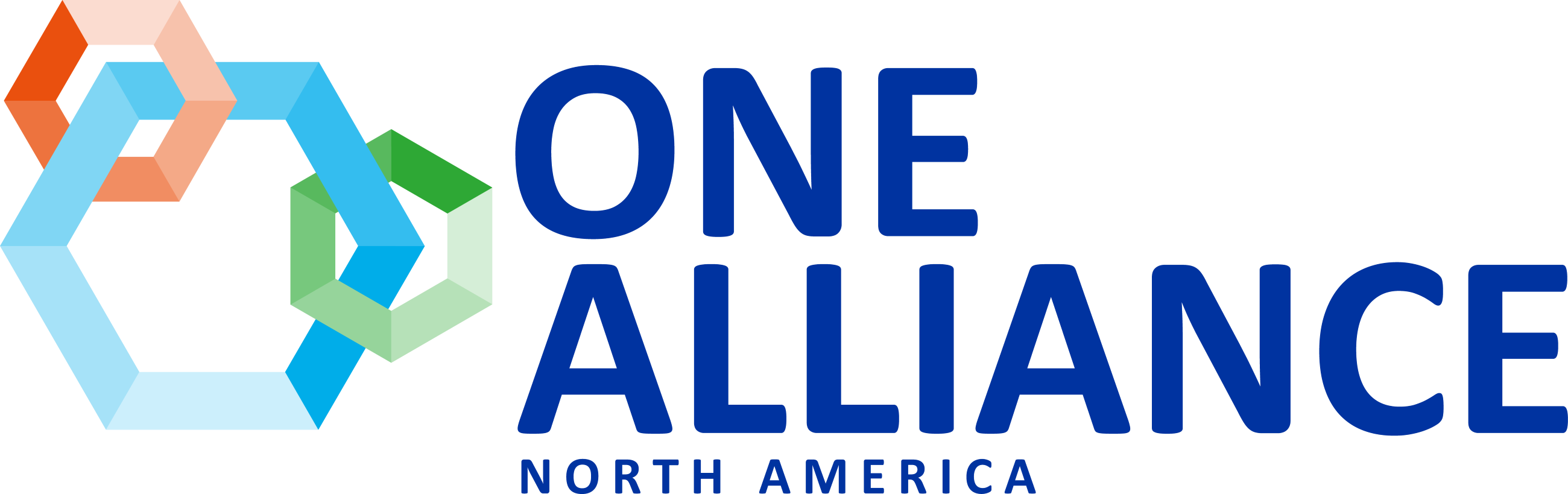 IIAG Partner in Progress One Alliance