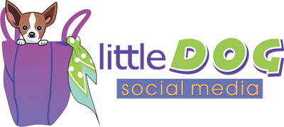 IIAG Partner in Progress: Little Dog Social Media