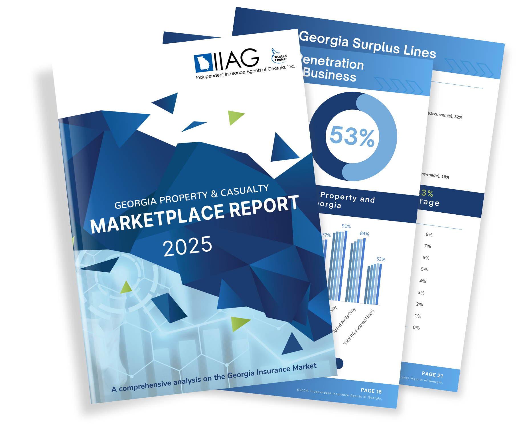 Graphic- PC Report 1 no bg