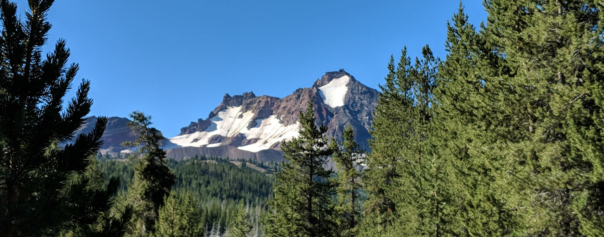 Central Oregon Mountains and Trees