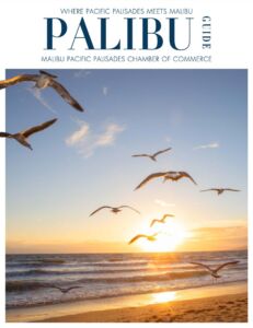 PaliBu Guide cover 2026