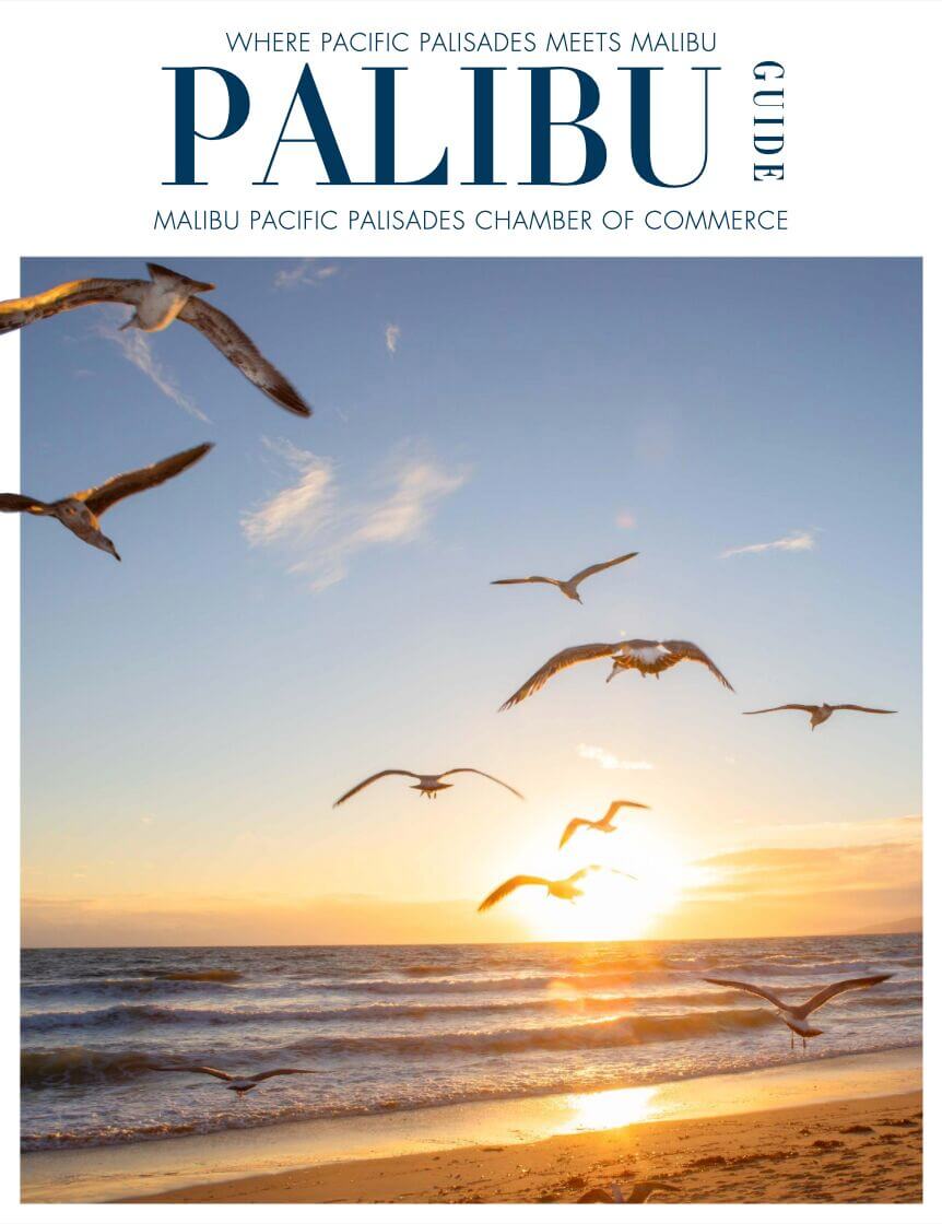 PaliBu Guide cover 2026