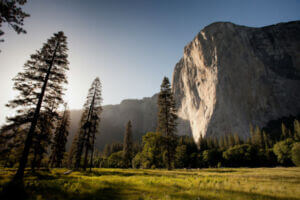 cliff and trees