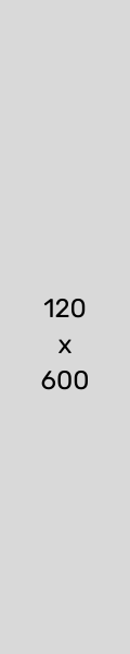 100x600
