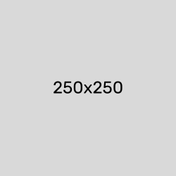 250x250