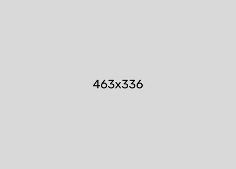 463x336